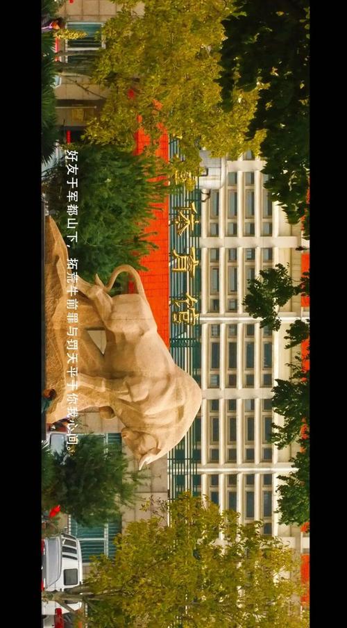法治是最好的营商环境 中国政法大学与企业界的深度对话