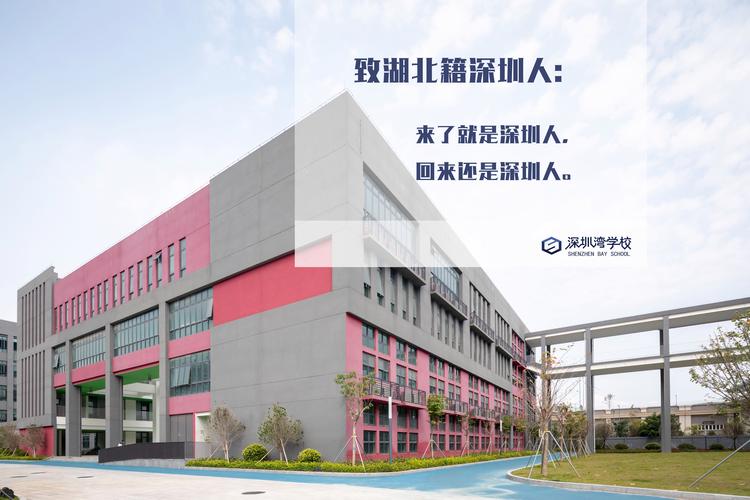 深圳湾学校师生 以城为校，共写成长故事